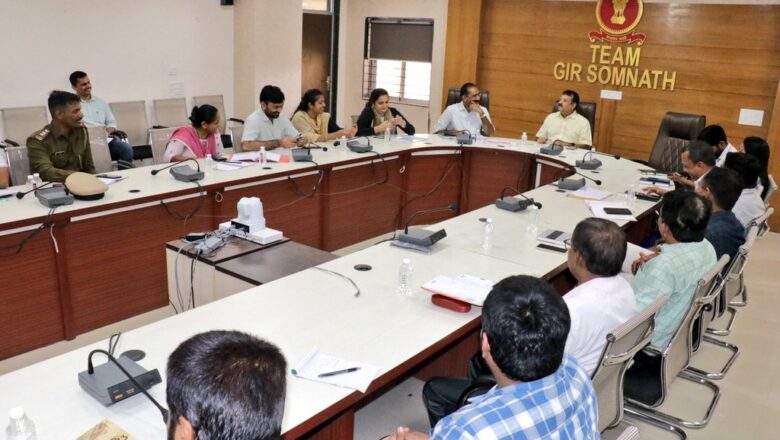 ગીર સોમનાથમાં ઉજવાશે આંતરરાષ્ટ્રીય પતંગોત્સવ, ૧૬ દેશ અને ૭ રાજ્યોના ૫૯ પતંગબાજો બતાવશે કૌવત