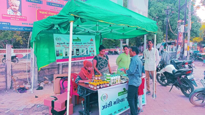 ‘દીનદયાળ અંત્યોદય યોજના’ થકી ભાવનગરના નેસવડની મહિલાઓને મળી પગભર થવાની તક