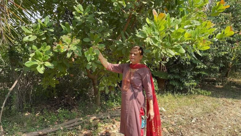 વડોદરાના વડીલ મહિલાનું સાહસ: ૬૩ ની ઉંમરે આરોગ્ય લાભો માટે કરે છે પ્રાકૃતિક ખેતી