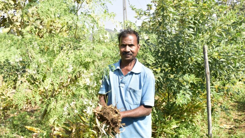 નટવરભાઈ પ્રાકૃતિક ખેતીમાં જોડાતા જમીનની ફળદ્રુપતા, ઉત્પાદન, આવક અને વેચાણમાં વધારો