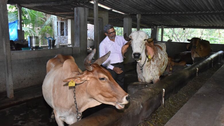 ધરમપુર તીસ્કરી તલાટના ખેડૂતનું ગીર ગાય ગૌશાળા દ્વારા પ્રાકૃતિક ખેતીમાં મહત્વપૂર્ણ યોગદાન