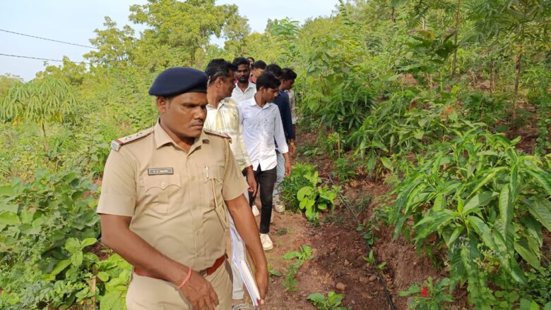 સરકારી વિનયન કૉલેજ તિલકવાડા દ્વારા બે દિવસીય “પ્રકૃતિ શિક્ષણ શિબિર” યોજાઈ