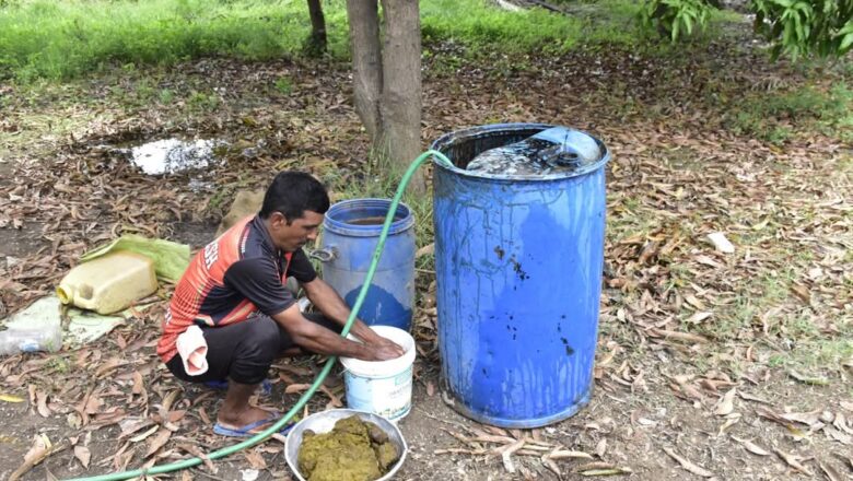 પ્રાકૃતિક ખેતી સમયની માંગ બની છે ત્યારે ચાલો આજે આપણે પ્રાકૃતિક ખેતીમાં જીવામૃતનું મહત્વ, બનવવાની રીત તથા ઉપયોગ અંગેની રીત જાણીએ