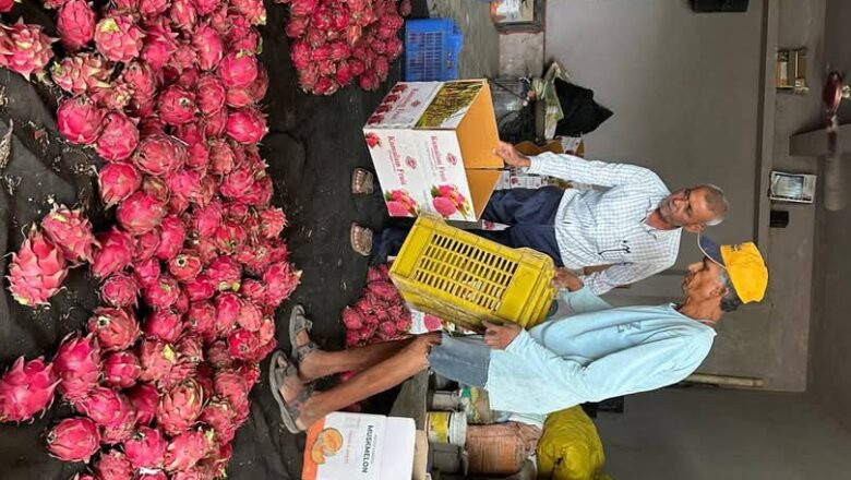 રાસાયણિક ખેતીથી પ્રાકૃતિક ખેતી તરફ વળેલા ગઢશીશાના ખેડૂતે કમલમ્ ફળના ઉત્પાદનને વધુ ગુણવત્તાયુક્ત બનાવ્યું