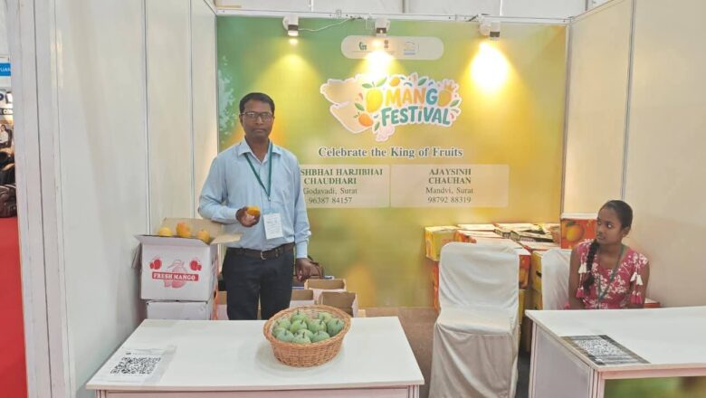વાઈબ્રન્ટ ગુજરાત રિજનલ કોન્ફરન્સ (VGRC) દક્ષિણ ગુજરાત
